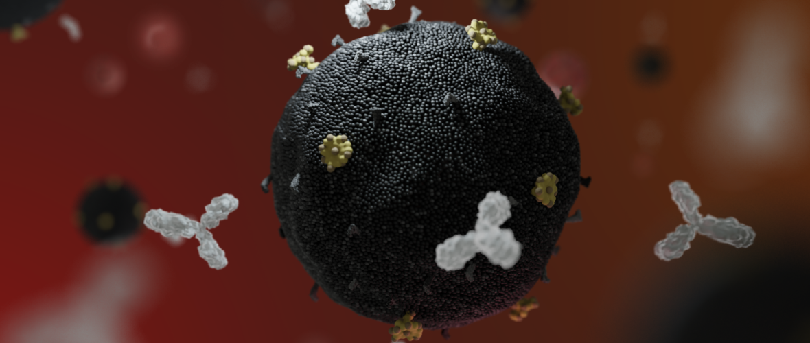 Image of antibodies surrounding an HIV cell